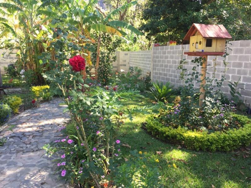 Cabanas De Tzununa Ngoại thất bức ảnh