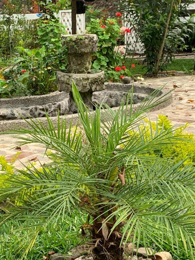Cabanas De Tzununa Ngoại thất bức ảnh